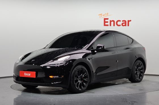 Tesla Model Y Long Range AWD — пробег 77 608 км — фото 1 из 5