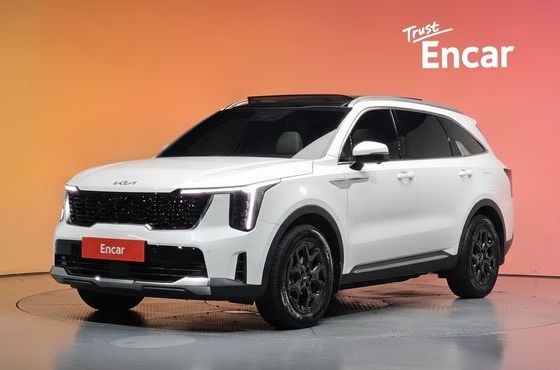 Kia Sorento HEV 1.6 2WD Signature — пробег 8 393 км — фото 1 из 5