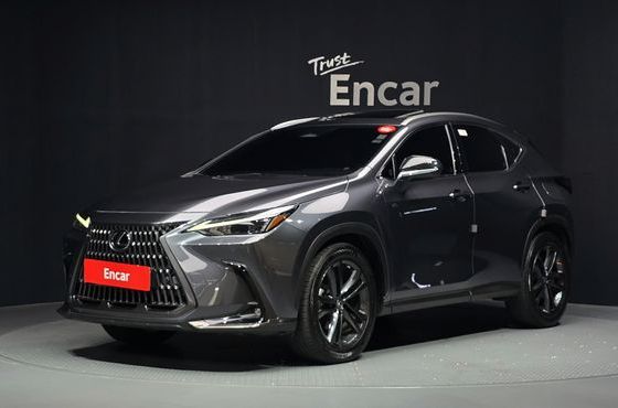 Lexus NX Premium — пробег 94 570 км — фото 1 из 5