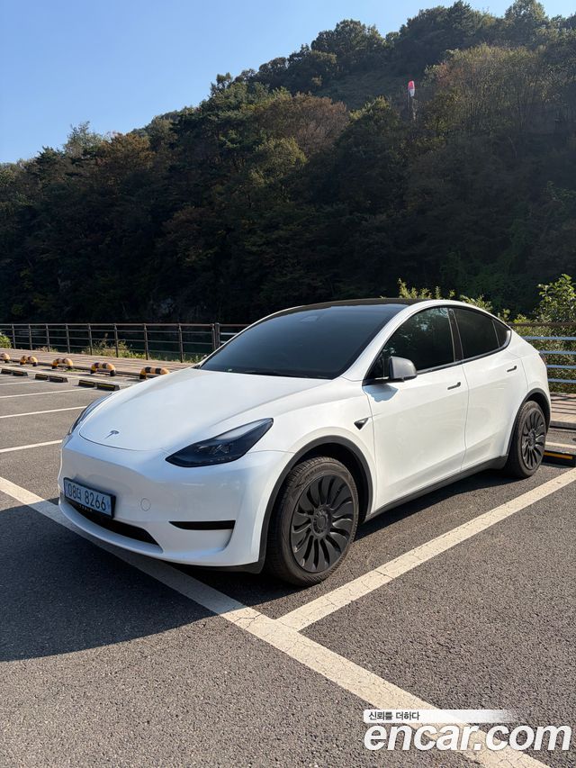 Tesla Model Y из Кореи Encar