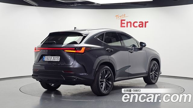 Lexus NX Premium — пробег 16 707 км — фото 2 из 5