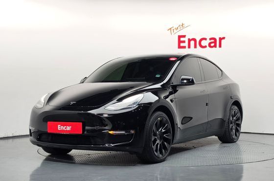 Tesla Model Y Long Range AWD — пробег 84 842 км — фото 1 из 5