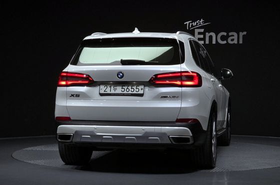 BMW X5 xDrive 30d xLine — пробег 118 231 км — фото 4 из 5