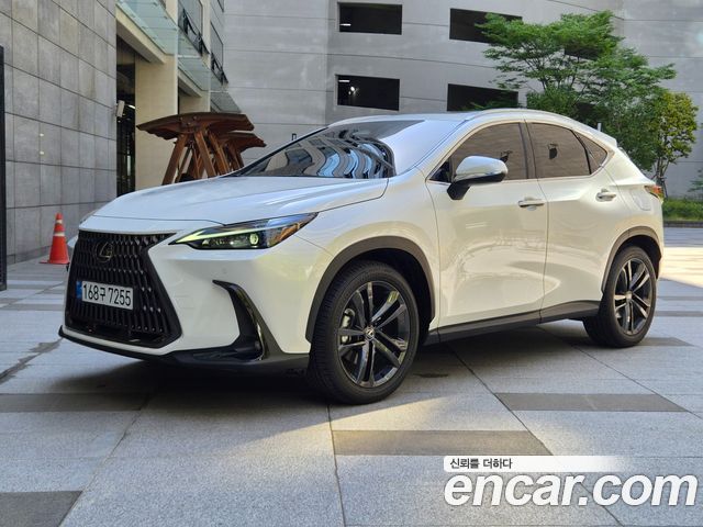 Lexus NX Premium — пробег 17 700 км — фото 1 из 5