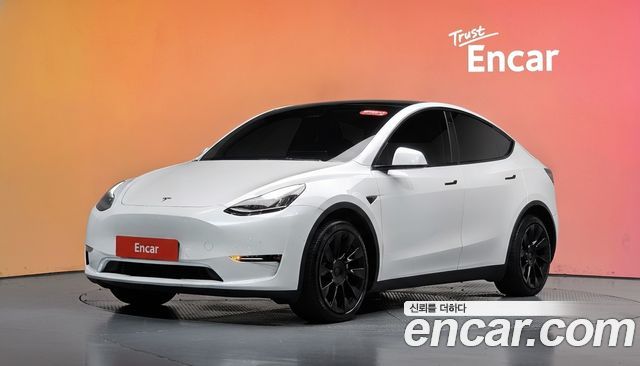 Tesla Model Y Long Range AWD — пробег 61 185 км — фото 1 из 5