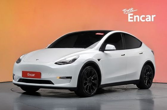 Tesla Model Y Long Range AWD — пробег 61 185 км — фото 1 из 5