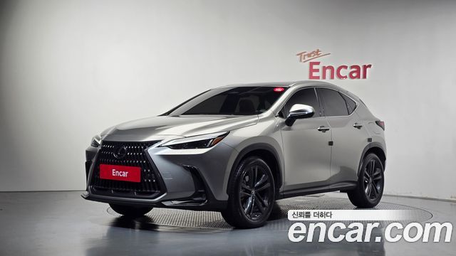 Lexus NX Premium — пробег 13 959 км — фото 1 из 5