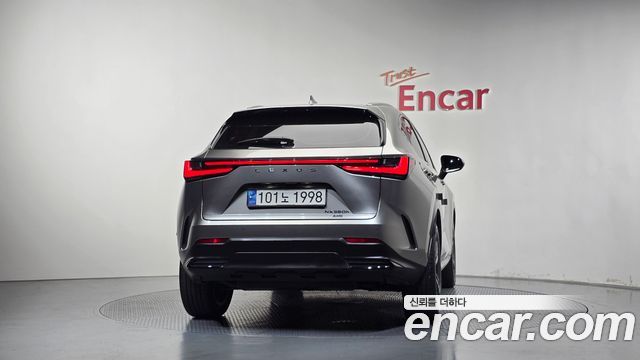 Lexus NX Premium — пробег 13 959 км — фото 4 из 5
