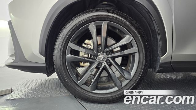 Lexus NX Premium — пробег 13 959 км — фото 5 из 5