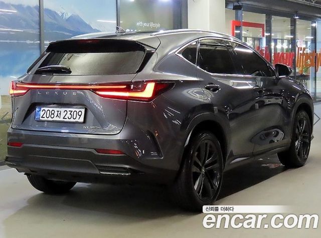 Lexus NX Premium — пробег 23 890 км — фото 4 из 5