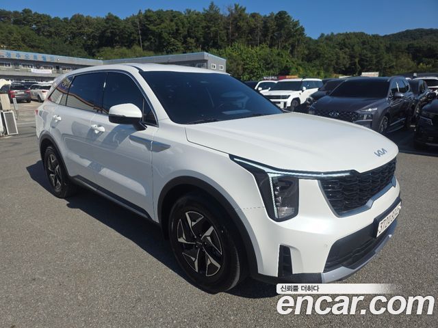 Kia Sorento HEV 1.6 2WD Prestige — пробег 82 000 км — фото 4 из 5