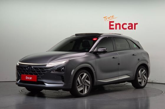 Hyundai Nexo Premium — пробег 26 963 км — фото 1 из 5