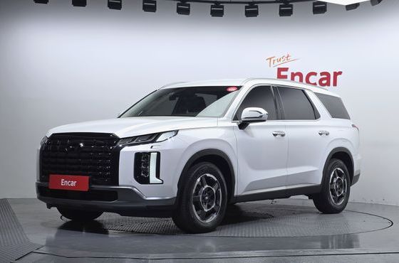 Hyundai Palisade Diesel 2.2 2WD Exclusive — пробег 111 857 км — фото 1 из 5
