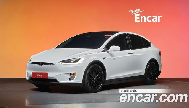 Tesla Model X 100D — пробег 113 421 км — фото 1 из 5