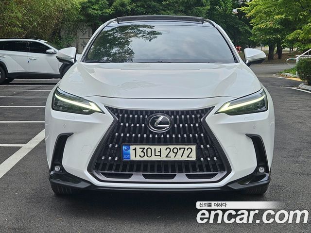Lexus NX Luxury — пробег 50 526 км — фото 1 из 5