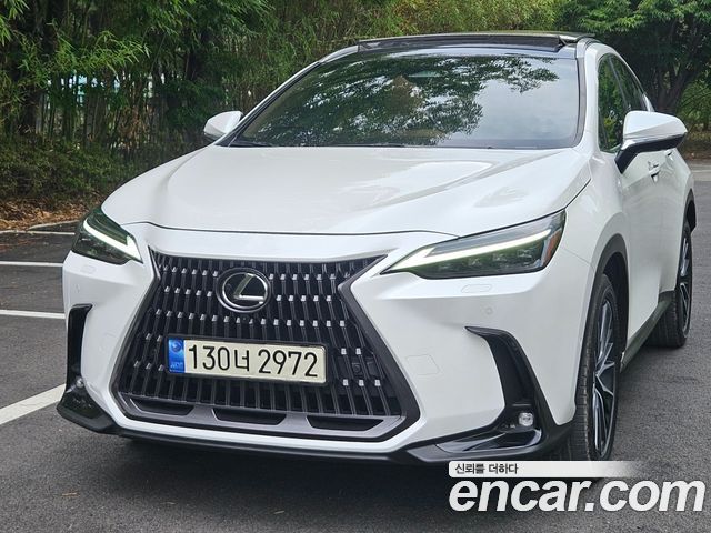 Lexus NX Luxury — пробег 50 526 км — фото 2 из 5