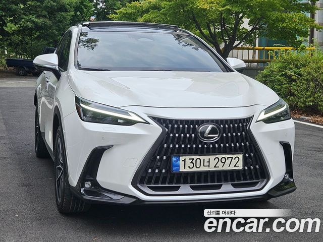 Lexus NX Luxury — пробег 50 526 км — фото 3 из 5