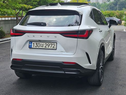 Lexus NX Luxury — пробег 50 526 км — фото 5 из 5