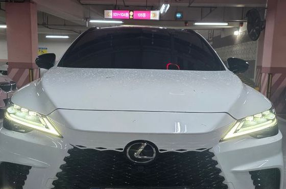 Lexus RX F-Sport — пробег 16 900 км — фото 1 из 5