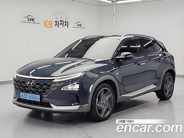 Hyundai Nexo Premium — пробег 133 239 км — фото 1 из 5