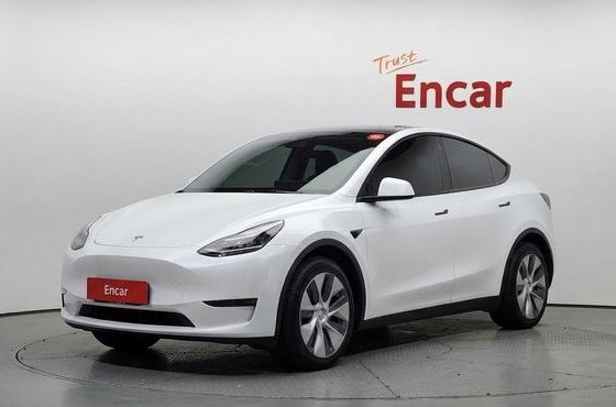 Tesla Model Y Long Range AWD — пробег 85 818 км — фото 1 из 5
