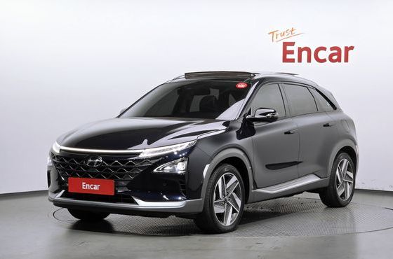 Hyundai Nexo Premium — пробег 62 768 км — фото 1 из 5