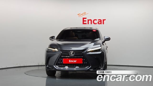 Lexus NX Premium — пробег 23 893 км — фото 3 из 5