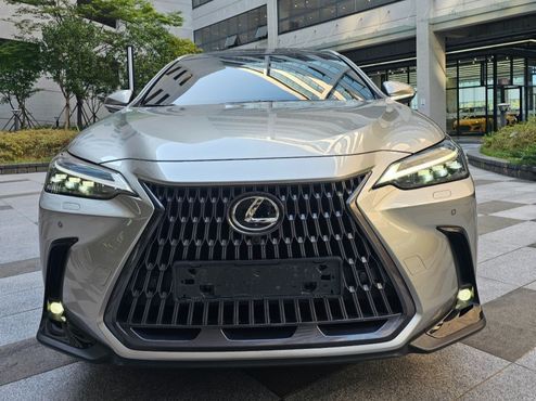 Lexus NX Luxury — пробег 23 857 км — фото 3 из 5