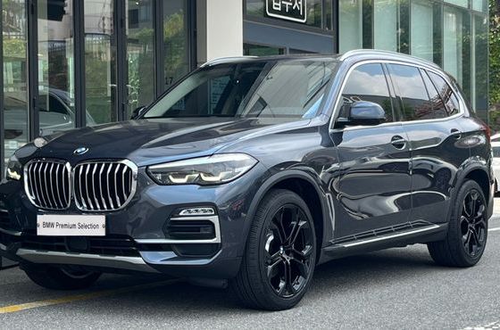 BMW X5 xDrive 40i xLine — пробег 99 453 км — фото 1 из 5
