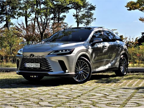 Lexus RX Luxury — пробег 21 300 км — фото 1 из 5
