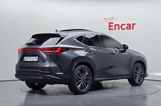 Lexus NX Luxury — пробег 14 278 км — фото 2 из 5