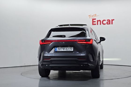 Lexus NX Luxury — пробег 14 278 км — фото 4 из 5