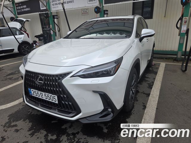 Lexus NX Premium — пробег 30 000 км — фото 1 из 5