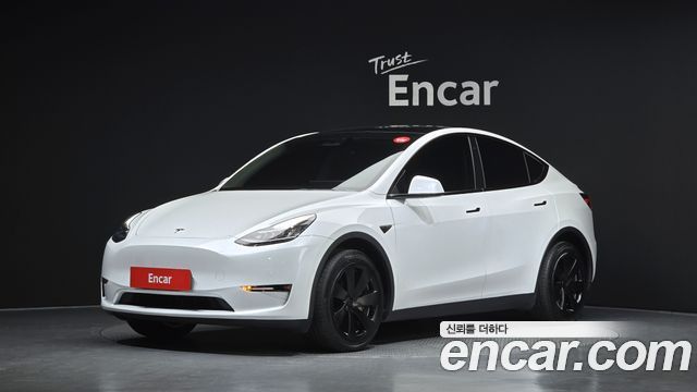 Tesla Model Y Long Range AWD — пробег 40 261 км — фото 1 из 5