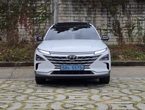 Hyundai Nexo Premium — пробег 163 737 км — фото 4 из 5