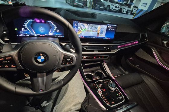 BMW X5 xDrive 40i M Sport — пробег 4 000 км — фото 3 из 5
