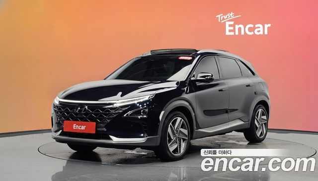 Hyundai Nexo Premium — пробег 54 474 км — фото 1 из 5