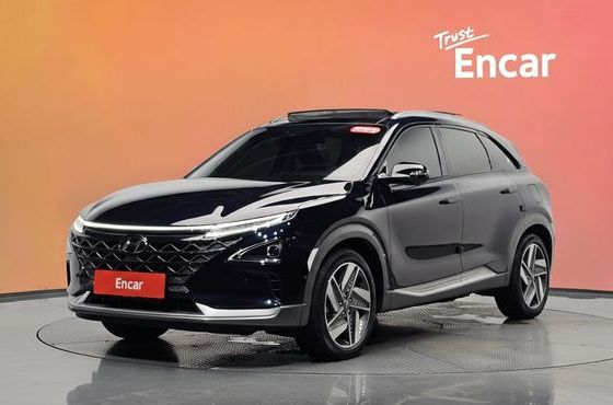 Hyundai Nexo Premium — пробег 54 474 км — фото 1 из 5