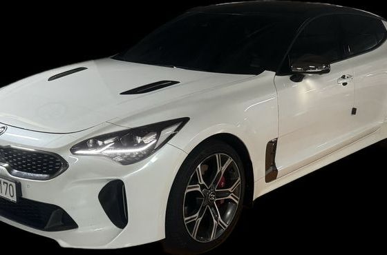 Kia Stinger 2.2 Diesel AWD Platinum — пробег 173 500 км — фото 1 из 5