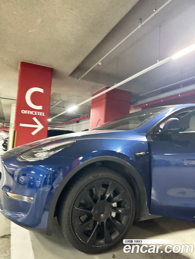 Tesla Model Y Standard Range RWD — пробег 88 900 км — фото 3 из 5