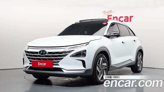 Hyundai Nexo Premium — пробег 66 072 км — фото 1 из 5