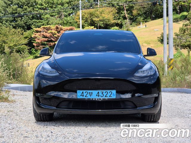 Tesla Model Y из Кореи Encar