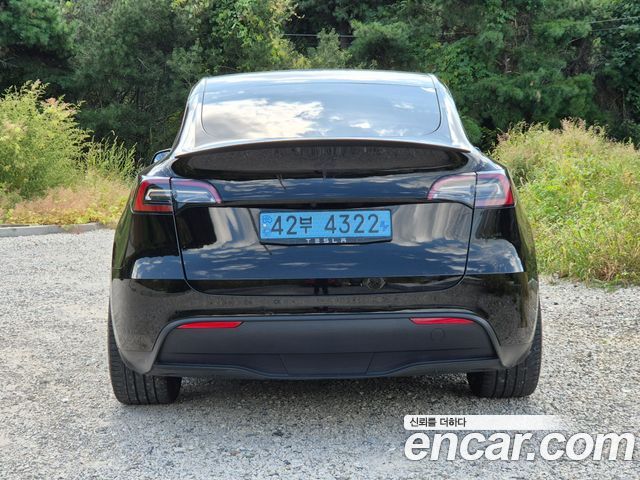 Tesla Model Y из Кореи Encar