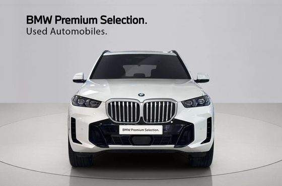 BMW X5 xDrive 30d M Sport — пробег 17 257 км — фото 3 из 5