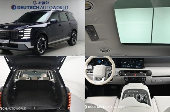 Hyundai Palisade Gasoline 2.5T 4WD 9-Seater Prestige — пробег 17 300 км — фото 1 из 5