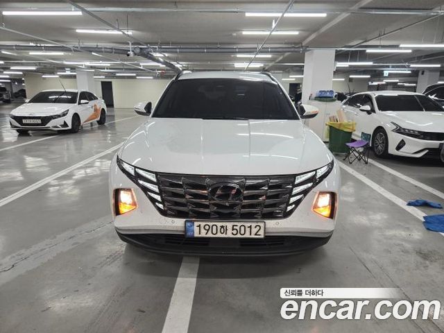 Hyundai Tucson Diesel 2.0 2WD Premium — пробег 193 902 км — фото 3 из 5