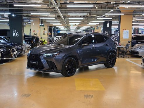 Lexus NX F-Sport — пробег 40 756 км — фото 1 из 5