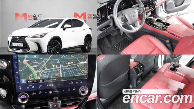 Lexus NX Premium — пробег 4 931 км — фото 1 из 5