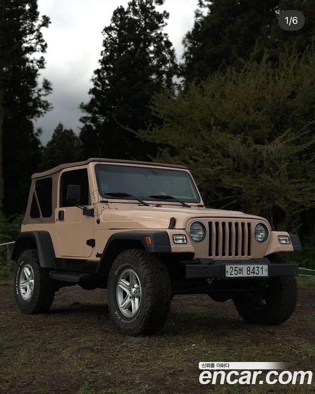 Jeep Wrangler 4.0 — пробег 399 500 км — фото 3 из 5