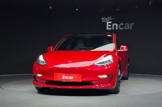 Tesla Model 3 Long Range AWD — пробег 166 599 км — фото 3 из 5